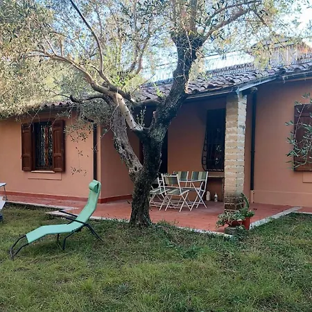 All'Ombra Degli Olivi Pisciarelli Exterior photo