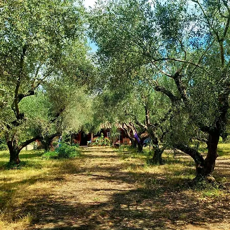 All'Ombra Degli Olivi Pisciarelli Exterior photo