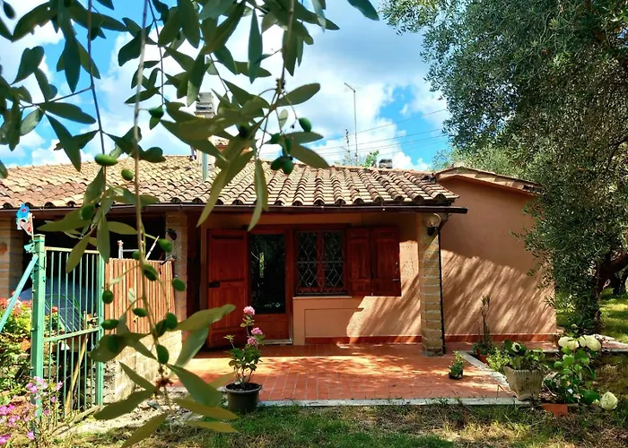 All\'Ombra Degli Olivi